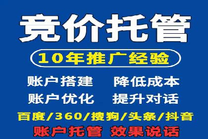 案例解析：竞价广告效果评估与优化